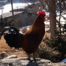 시골나들이 이미지