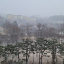 다인사우나헬스 네이버블로그