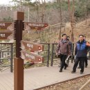 모락산 둘레길 이미지