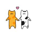 능곡동물병원 이미지