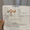 에덴선물나라 | 자궁외임신 기록 2ㅣ 나팔관 절제술 수술 후기 _에덴병원