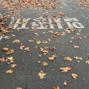 양지-2906 | 11월 둘째 주,