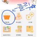 시바직구 이미지