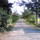 양평공사(강당) Daum카페