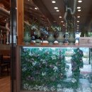 강천민물장어 이미지