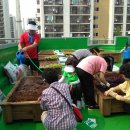 번3동주민센터 이미지