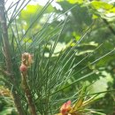 성남2길 이미지