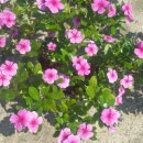 농업기술센터1층 화장실 이미지