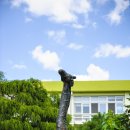 친구와 돌담길 이미지