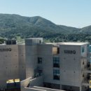 천성대항길 이미지