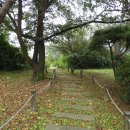 학도의용군 파주지대 이미지