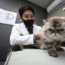 통일동물병원 이미지