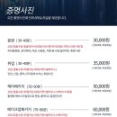 더윈도우스튜디오