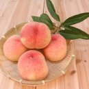 다인농업협동조합 이미지