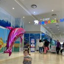 26개월 아기와 함께 코엑스 아쿠아리움 나들이🐬 (ft. 할인, 제휴카드, 공연시간표)