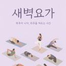 새벽요가(화,목) | 🌅 8월 새벽요가 모집. 화,목,토요일 새벽 6시 30분, 오픈이벤트