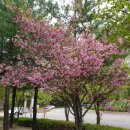 성원농장 이미지