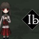 IB 소프트 이미지