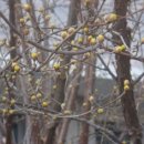 비타민박사 이미지