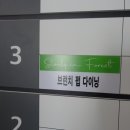 슬로울리인포레스트