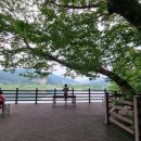 앙덕리 쉼터 이미지