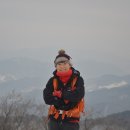 평창백덕산더덕 이미지