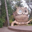 제황산공원(제황산부엉이) 이미지