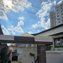 일구팔팔(1988) 이미지