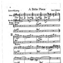 Dave Liebman / A brite piece 이미지
