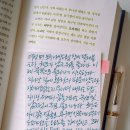 탑티오피
