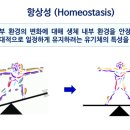 스포니스 잠실새내점 이미지