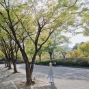 청년다방일산 이미지