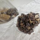 원진 | 경주순대 성동시장 양이 푸짐한 원진순대