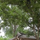 숲길민박 이미지