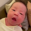 박은영 카카오 검색결과