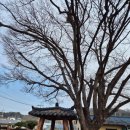 대안4리마을회관 이미지