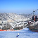 비발디파크