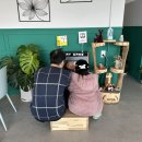 태기산더덕직판장