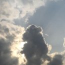 구름같은 인생 / 하모니카 이미지