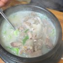 용인 백암식당 다녀온 후기🍲 백암순대가 유명한 이유가 있었네요