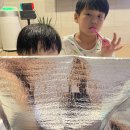 이디야청운대점