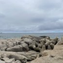 도시락 우리소풍갈까 이미지