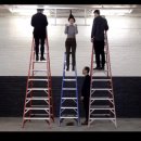 산수싸리 이미지