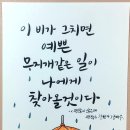 포와이비 이미지