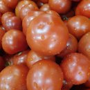 장수건강원 이미지