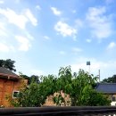 따뜻한동행방문요양센터 | 엄마의 하루를 채워준 따뜻한 동행, 의왕 노인복지센터 방문요양 서비스 후기!