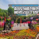 [여행] 충청도 세종 베어트리파크 방문: 아이와가볼만한곳 6월 장미꽃 축제 나들이 하기좋은곳