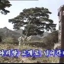 존경하고 사랑하는 회원여러분! 새해 복 많이 받으십시오. 이미지