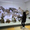 명진자원환경 | 서대문자연사박물관 서울 아이랑 여행 추천장소