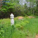 대진보건진료소 이미지